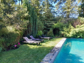 Lodge Tenis Pucon cl